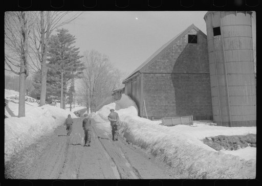 Mr. Shurtleff and his children going home to dinner after making maple syrup all morning. Bridgewater(?), near Woodstock, Vermont