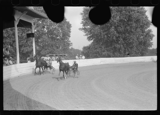 Untitled photo, possibly related to: Spectators at Shelby County Horse Show and Fair. Shelbyville, Kentucky