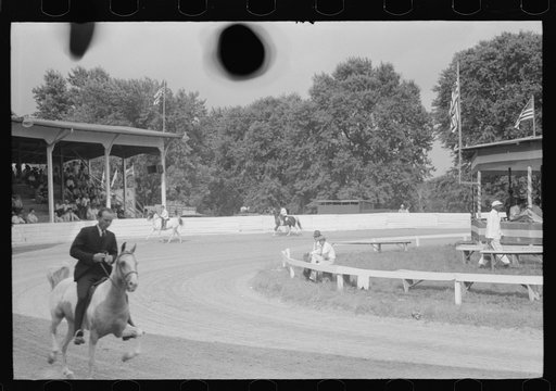 Untitled photo, possibly related to: Spectators at Shelby County Horse Show and Fair. Shelbyville, Kentucky