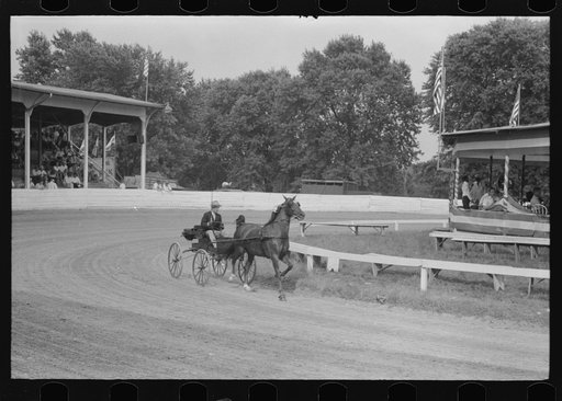 Untitled photo, possibly related to: Spectators at Shelby County Horse Show and Fair. Shelbyville, Kentucky