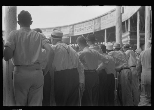 Untitled photo, possibly related to: Spectators at Shelby County Horse Show and Fair. Shelbyville, Kentucky