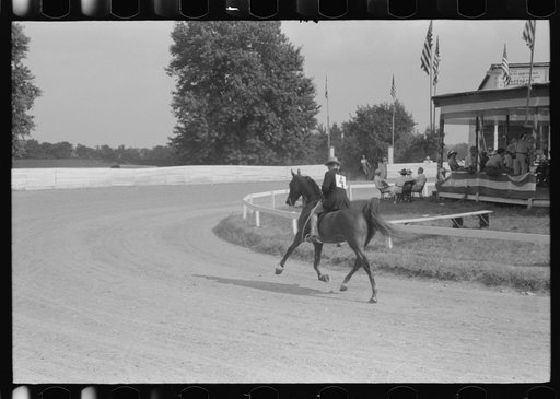 Untitled photo, possibly related to: Spectators at Shelby County Horse Show and Fair. Shelbyville, Kentucky