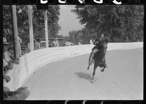 Untitled photo, possibly related to: Spectators at Shelby County Horse Show and Fair. Shelbyville, Kentucky