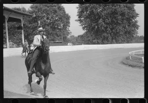 Untitled photo, possibly related to: Spectators at Shelby County Horse Show and Fair. Shelbyville, Kentucky