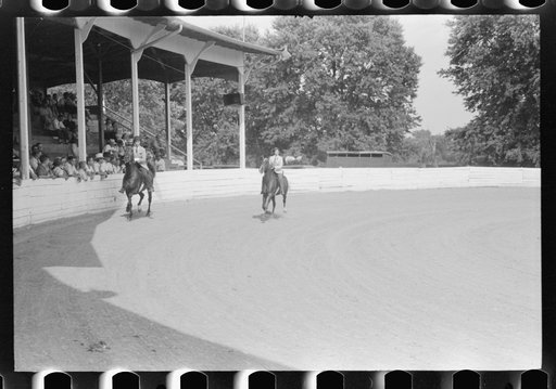 Untitled photo, possibly related to: Entries in the Shelby County Horse Show & Fair, Shelbyville, Kentucky