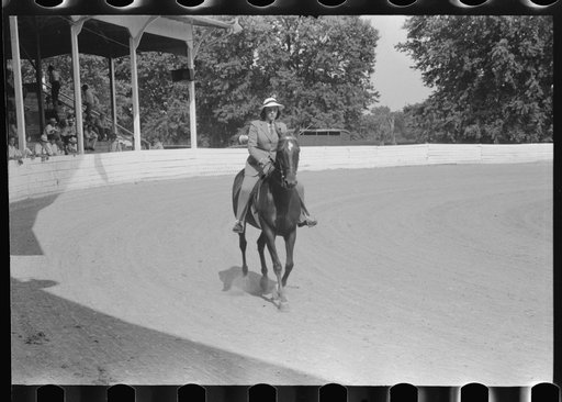 Untitled photo, possibly related to: Entries in the Shelby County Horse Show & Fair, Shelbyville, Kentucky