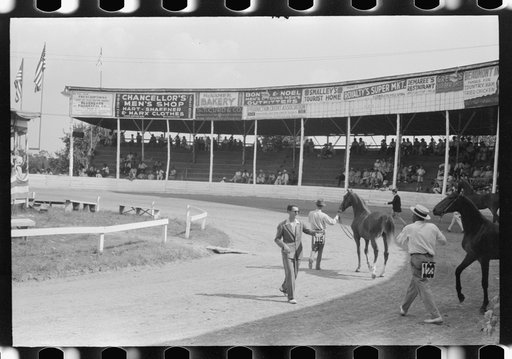 Untitled photo, possibly related to: Entries in the Shelby County Horse Show & Fair, Shelbyville, Kentucky