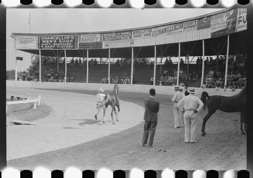 Untitled photo, possibly related to: Entries in the Shelby County Horse Show and Fair, Shelbyville, Kentucky