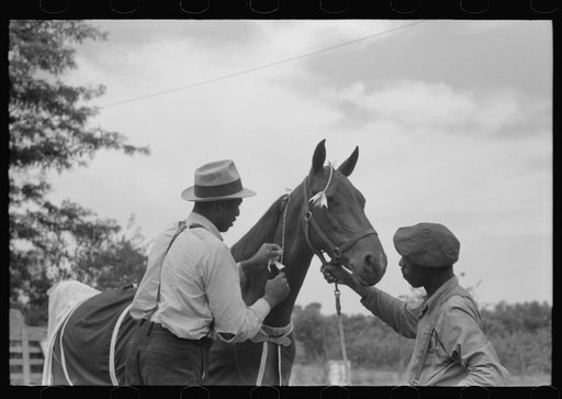 Untitled photo, possibly related to: Elaborate preparations are made for entries in Shelby County Horse Show and Fair, Shelbyville, Kentucky