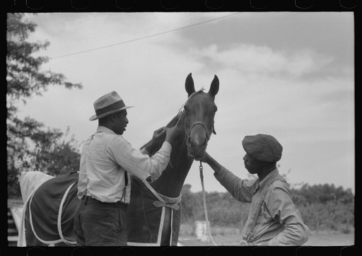 Untitled photo, possibly related to: Elaborate preparations are made for entries in Shelby County Horse Show and Fair, Shelbyville, Kentucky