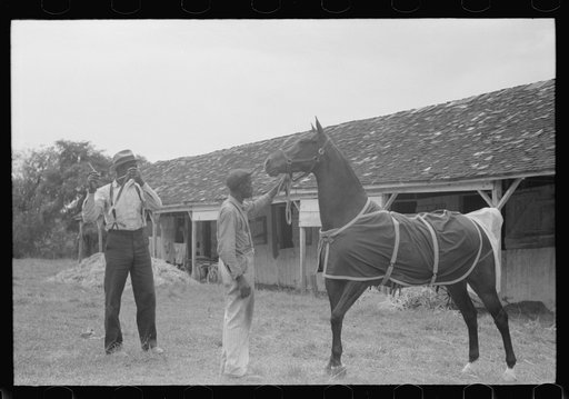 Untitled photo, possibly related to: Elaborate preparations are made for entries in Shelby County Horse Show and Fair, Shelbyville, Kentucky