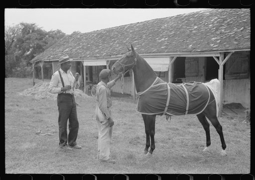 Untitled photo, possibly related to: Elaborate preparations are made for entries in Shelby County Horse Show and Fair, Shelbyville, Kentucky