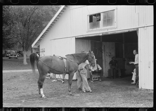 Untitled photo, possibly related to: Elaborate preparations are made for entries in Shelby County Horse Show and Fair, Shelbyville, Kentucky