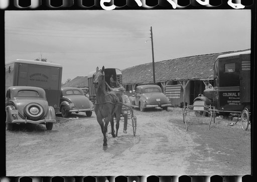 Untitled photo, possibly related to: Exercising one of the entries before the Shelby County Horse Show and Fair, Shelbyville, Kentucky