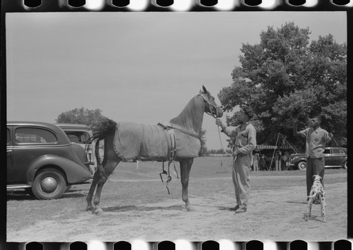 Untitled photo, possibly related to: Elaborate preparations are made for entries in Shelby County Horse Show and Fair, Shelbyville, Kentucky