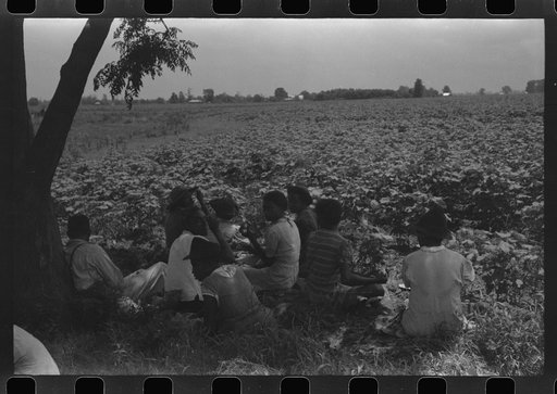 Untitled photo, possibly related to: Hopson Plantation, near Clarksdale, Mississippi Delta, Mississippi