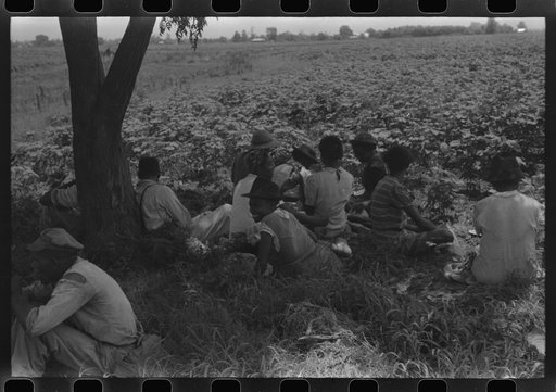 Untitled photo, possibly related to: Hopson Plantation, near Clarksdale, Mississippi Delta, Mississippi