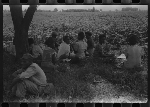 Untitled photo, possibly related to: Hopson Plantation, near Clarksdale, Mississippi Delta, Mississippi