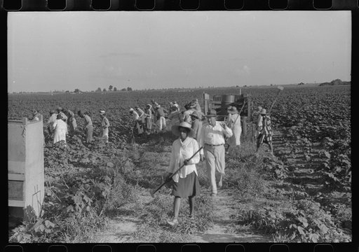 Untitled photo, possibly related to: Hopson Plantation, near Clarksdale, Mississippi Delta, Mississippi