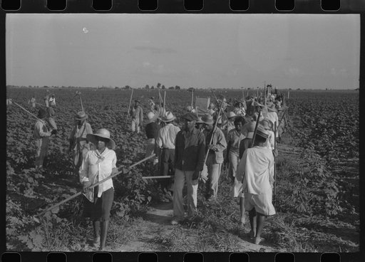 Untitled photo, possibly related to: Hopson Plantation, near Clarksdale, Mississippi Delta, Mississippi