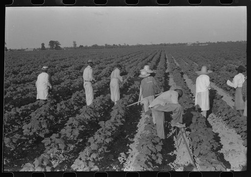 Untitled photo, possibly related to: Hopson Plantation, near Clarksdale, Mississippi Delta, Mississippi