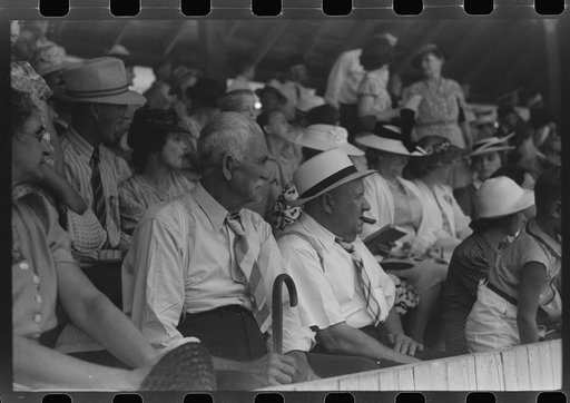 Untitled photo, possibly related to: Spectators at Shelby County Horse Show and Fair. Shelbyville, Kentucky