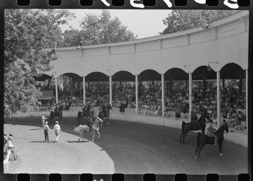 Entries in the Shelby County Horse Show and Fair, Shelbyville, Kentucky