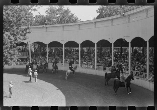 Untitled photo, possibly related to: Entries in the Shelby County Horse Show and Fair, Shelbyville, Kentucky