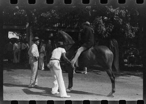 Untitled photo, possibly related to: Exercising one of the entries before the Shelby County Horse Show and Fair, Shelbyville, Kentucky
