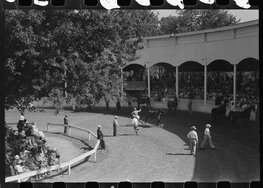 Untitled photo, possibly related to: Entries in the Shelby County Horse Show and Fair, Shelbyville, Kentucky