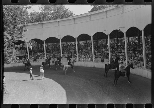Untitled photo, possibly related to: Entries in the Shelby County Horse Show and Fair, Shelbyville, Kentucky