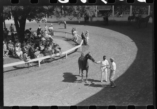Untitled photo, possibly related to: Entries in the Shelby County Horse Show and Fair, Shelbyville, Kentucky