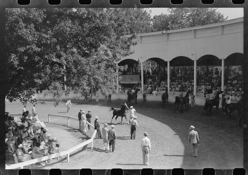 Untitled photo, possibly related to: Entries in the Shelby County Horse Show and Fair. Shelbyville, Kentucky