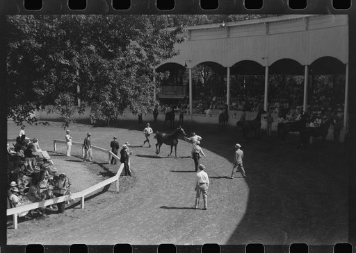 Untitled photo, possibly related to: Entries in the Shelby County Horse Show and Fair. Shelbyville, Kentucky