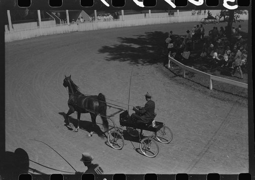 Entries in the Shelby County Horse Show and Fair. Shelbyville, Kentucky