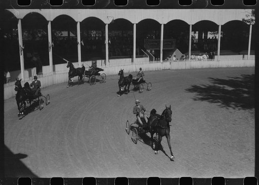Untitled photo, possibly related to: Entries in the Shelby County Horse Show and Fair. Shelbyville, Kentucky
