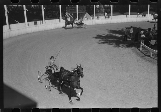 Entries in the Shelby County Horse Show and Fair. Shelbyville, Kentucky