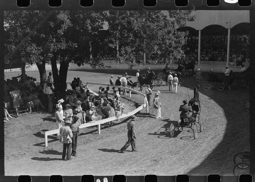 Untitled photo, possibly related to: Entries in the Shelby County Horse Show and Fair. Shelbyville, Kentucky