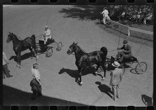 Entries in the Shelby County Horse Show and Fair, Shelbyville, Kentucky