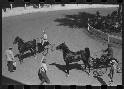 Untitled photo, possibly related to: Entries in the Shelby County Horse Show and Fair. Shelbyville, Kentucky