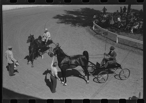 Untitled photo, possibly related to: Entries in the Shelby County Horse Show and Fair. Shelbyville, Kentucky