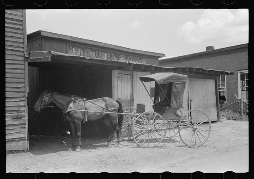Untitled photo, possibly related to: Blacksmith shoeing team of farmhorses on Saturday, Russellville, Kentucky