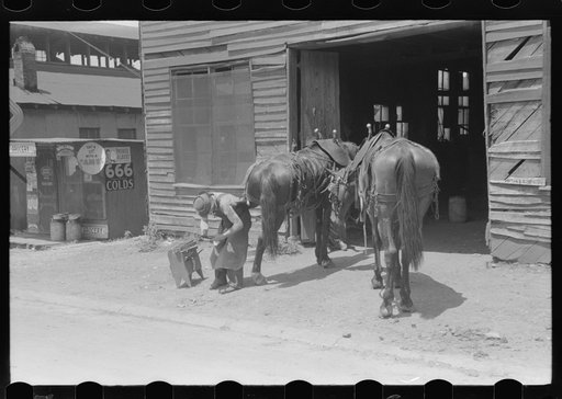 Untitled photo, possibly related to: Blacksmith shoeing team of farmhorses on Saturday, Russellville, Kentucky