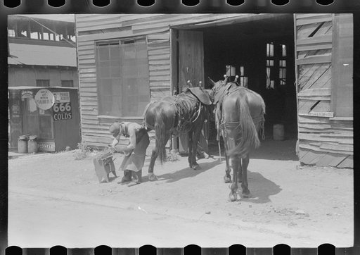 Blacksmith shoeing team of farmhorses on Saturday, Russellville, Kentucky