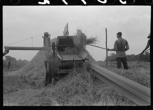 Untitled photo, possibly related to: Threshing wheat on farm in Oldham County, Kentucky
