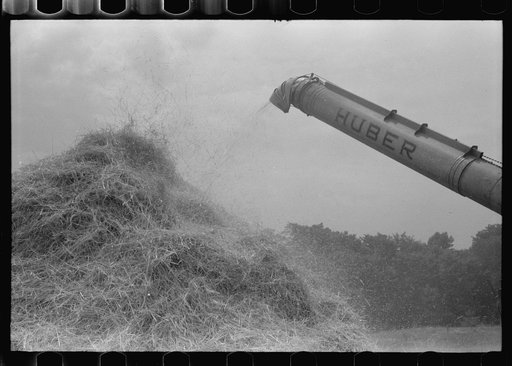 Threshing wheat on farm in Oldham County, Kentucky