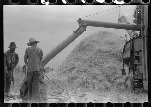 Untitled photo, possibly related to: Threshing wheat on farm in Oldham County, Kentucky