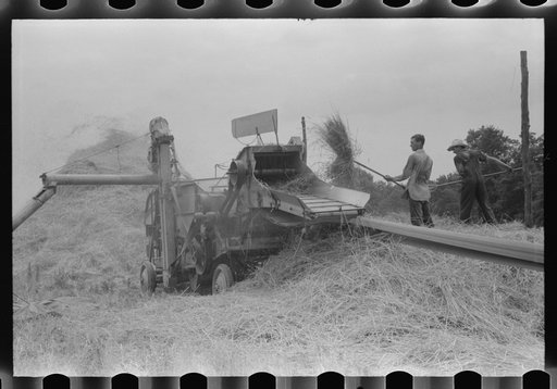 Untitled photo, possibly related to: Threshing wheat on farm in Oldham County, Kentucky