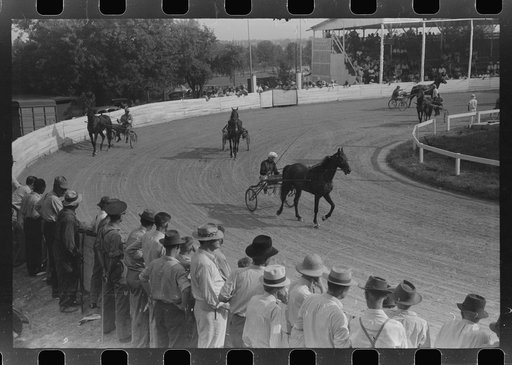Untitled photo, possibly related to: Entries in the Shelby County Horse Show and Fair. Shelbyville, Kentucky
