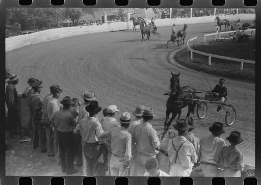 Untitled photo, possibly related to: Entries in the Shelby County Horse Show and Fair. Shelbyville, Kentucky